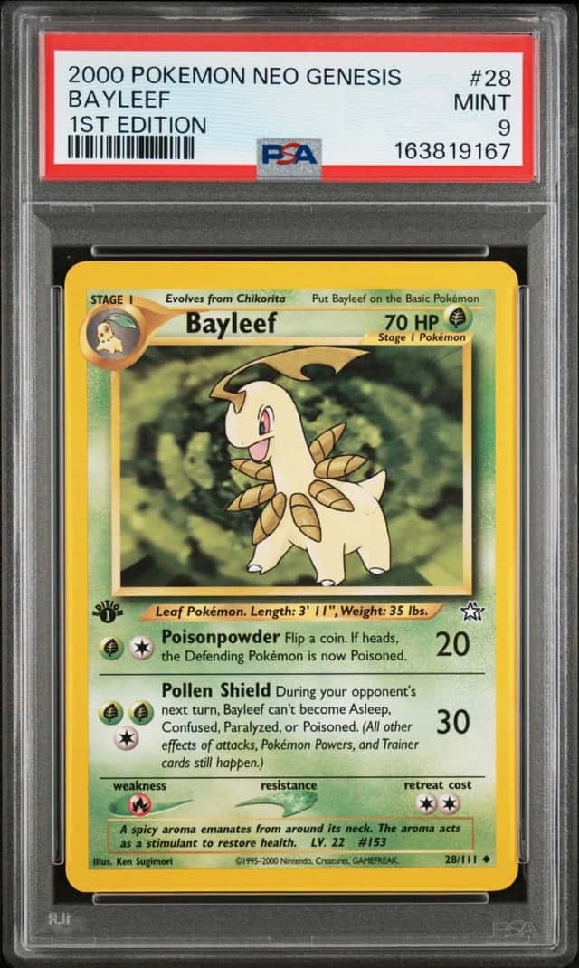 Bayleef