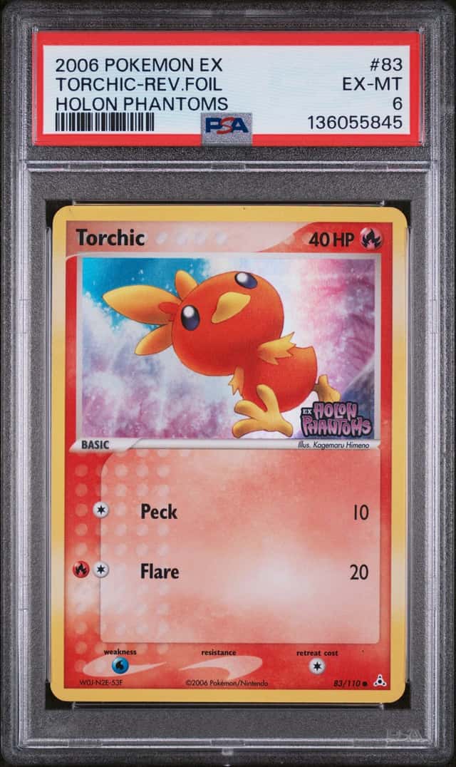 Torchic