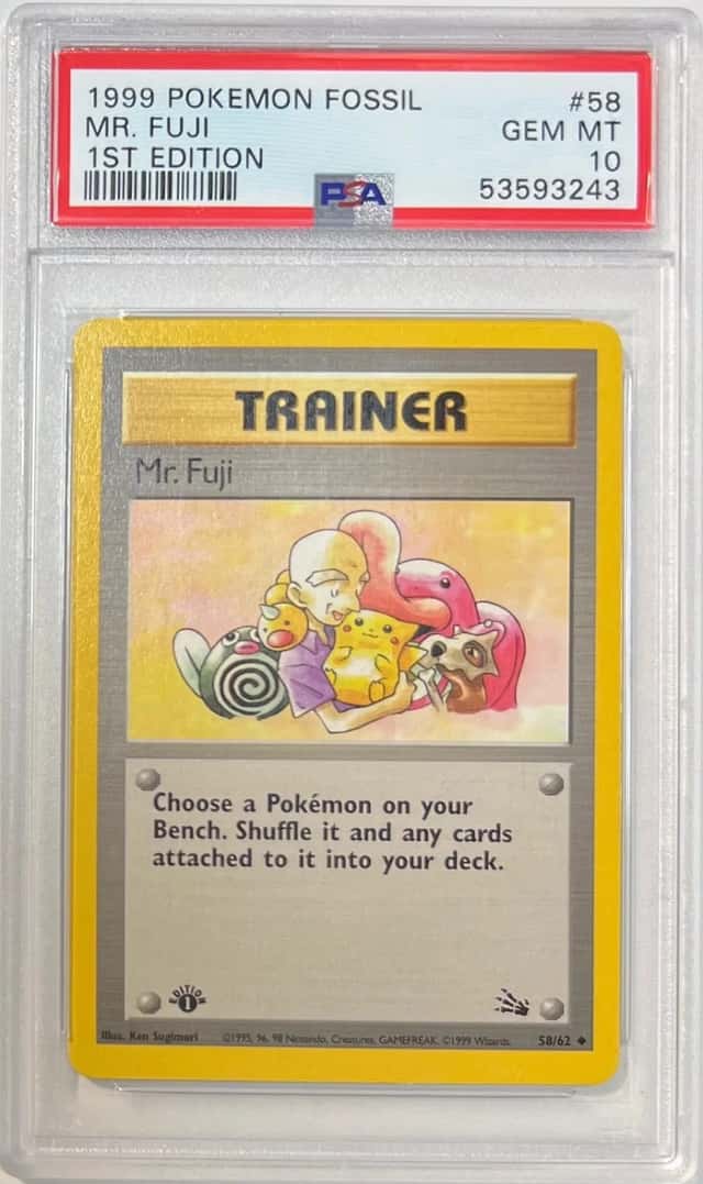 Mr. Fuji
