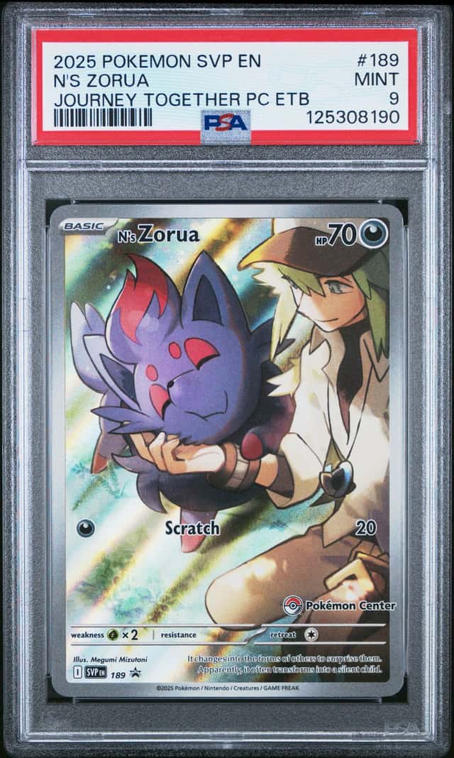 N's Zorua