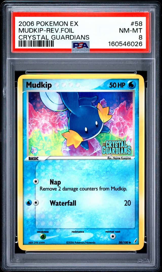 Mudkip
