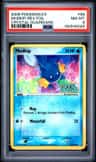 Mudkip