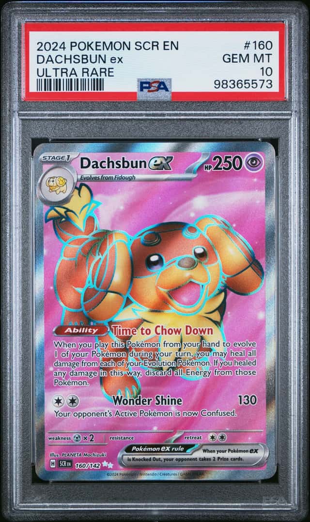 DACHSBUN ex