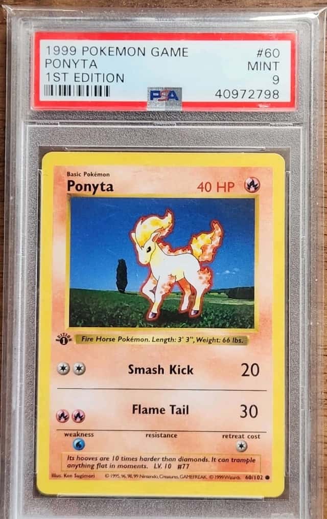Ponyta