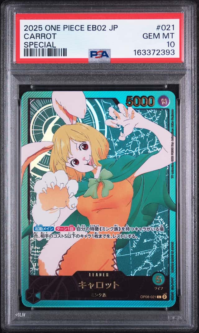 Carrot