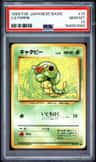 Caterpie