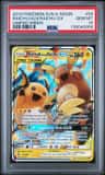 Raichu & Alolan Raichu Gx