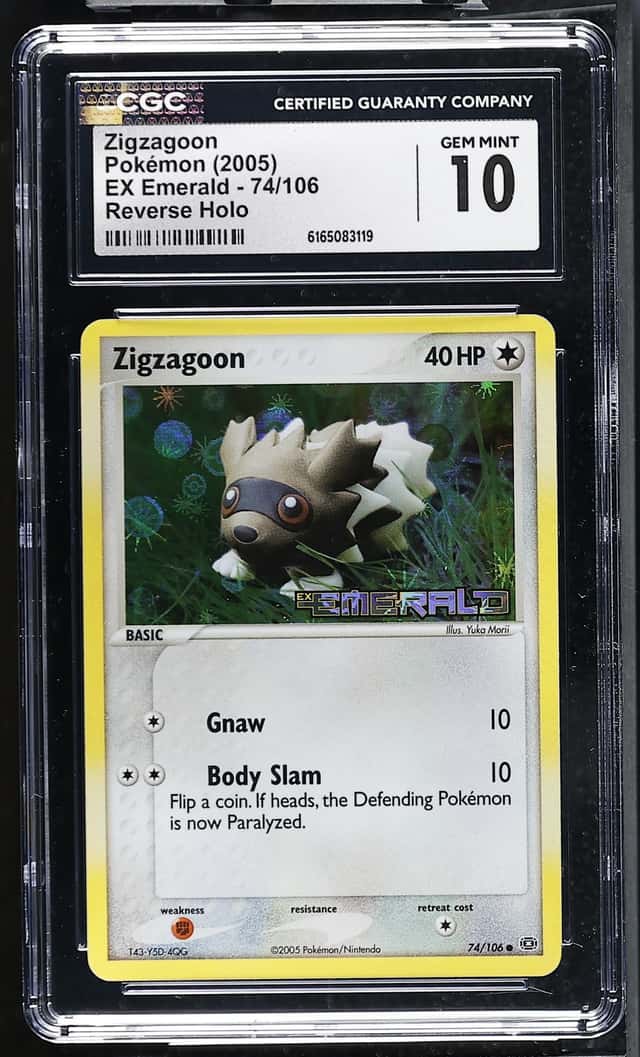 Zigzagoon