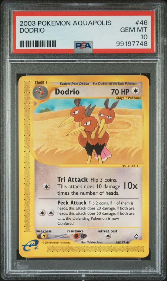 Dodrio
