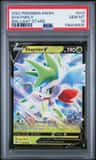 Shaymin V