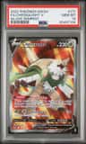 Chesnaught V
