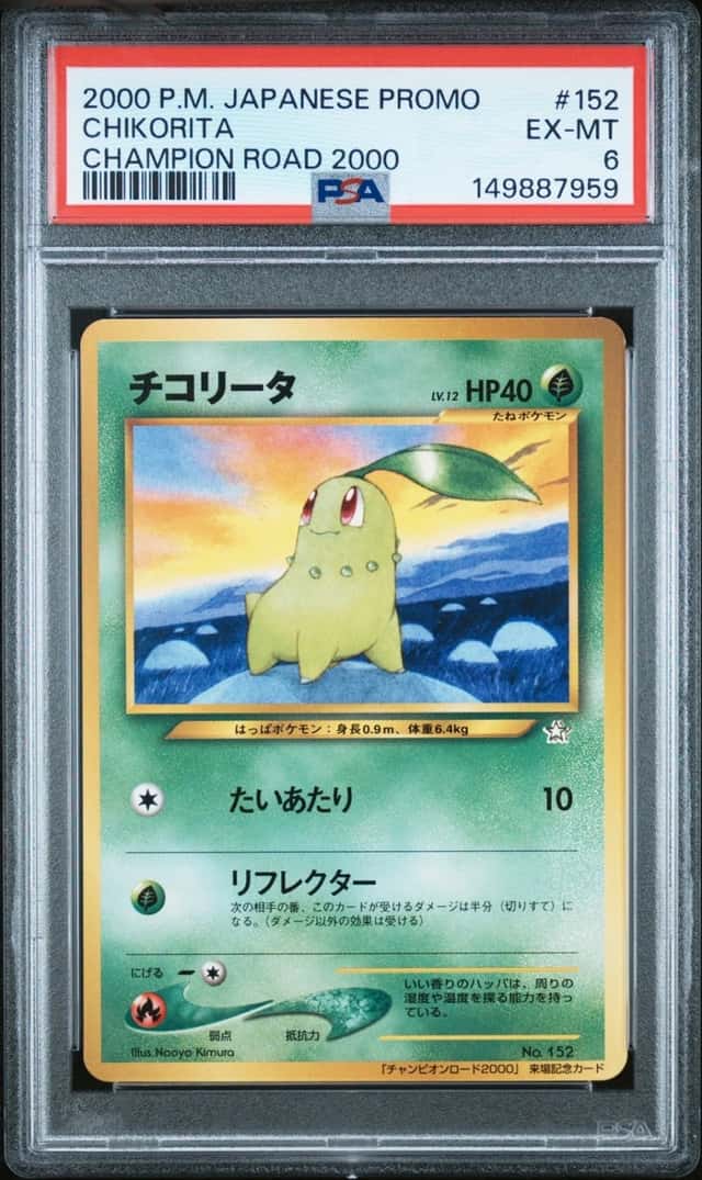 Chikorita