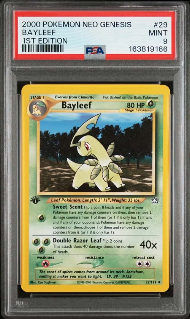 Bayleef