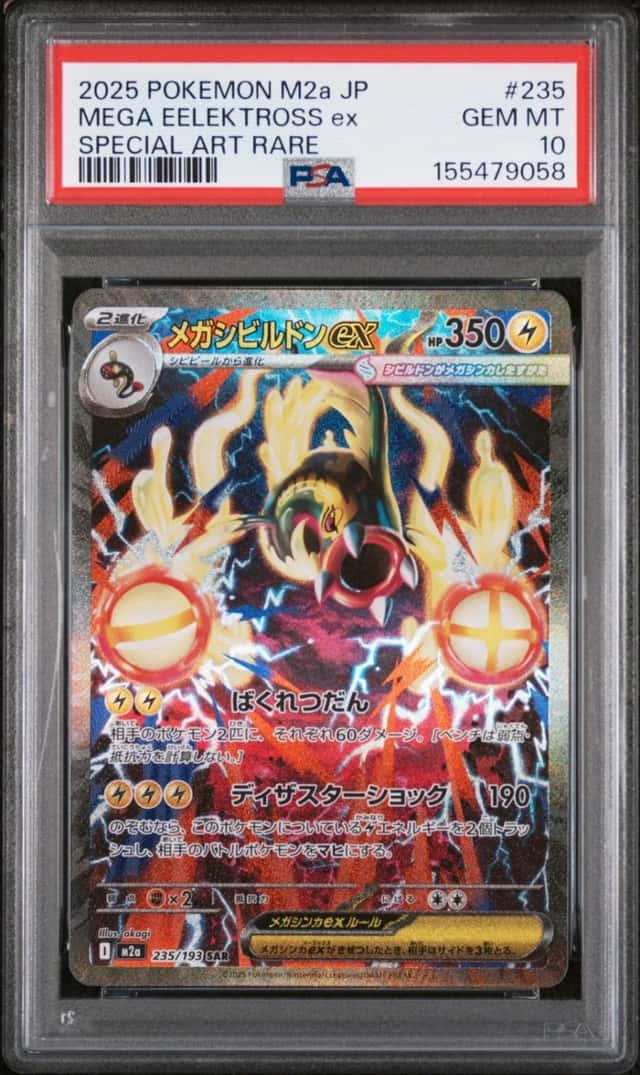 MEGA EELEKTROSS ex