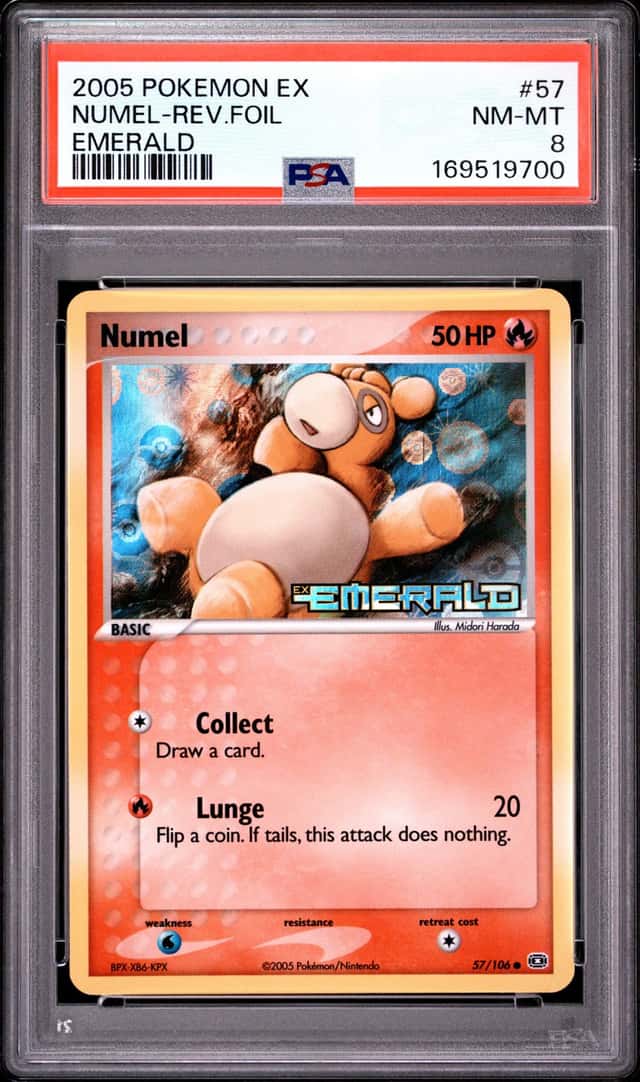 Numel