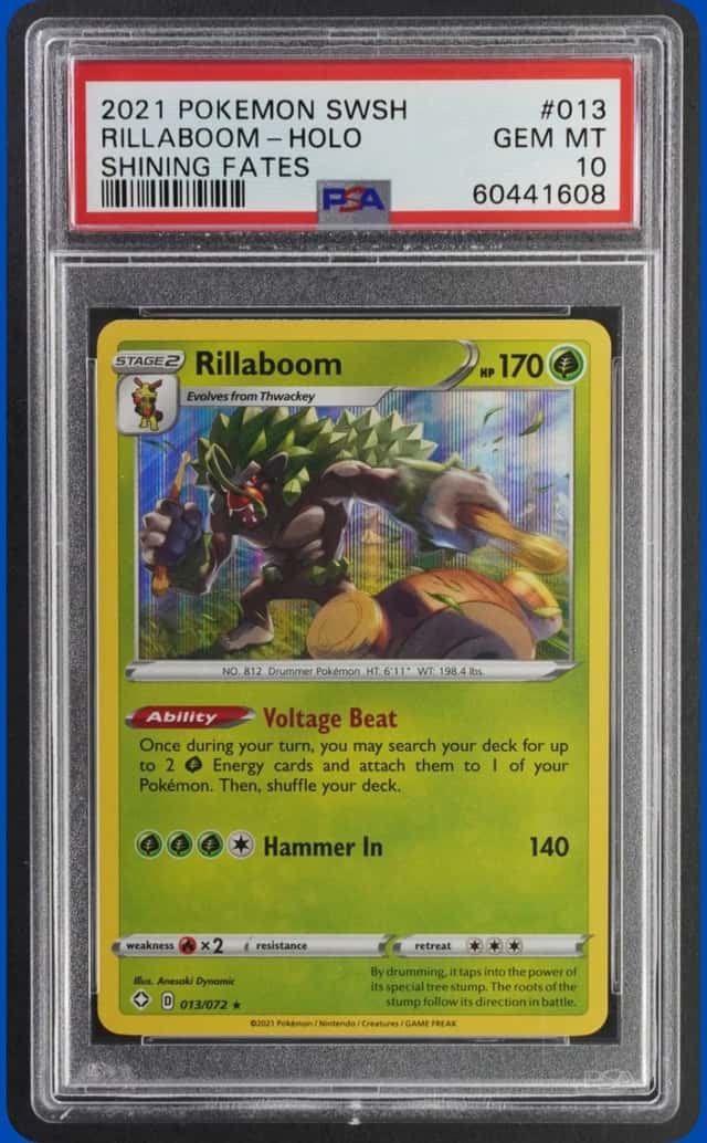 Rillaboom