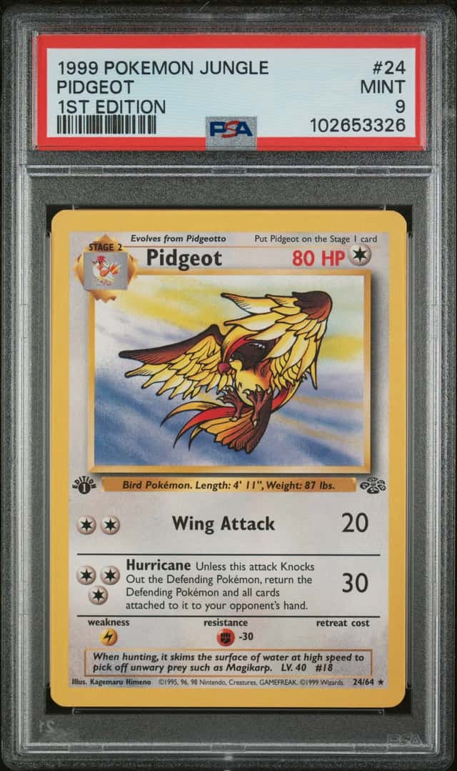 Pidgeot