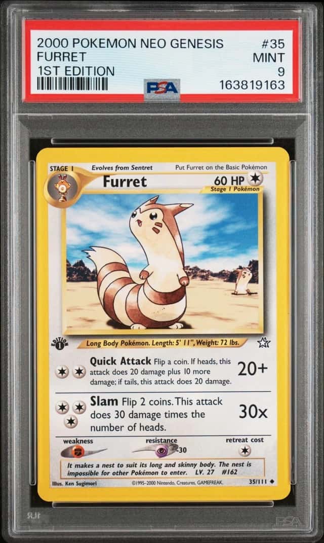 Furret