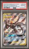 Pikachu & Zekrom Gx