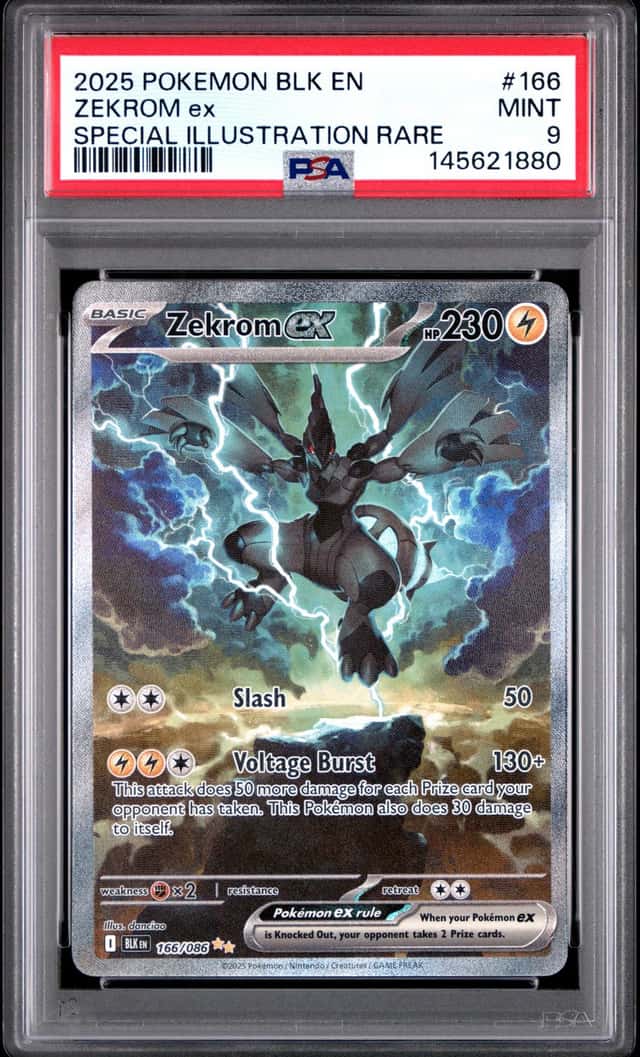 ZEKROM ex