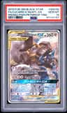 Lucario & Melmetal Gx