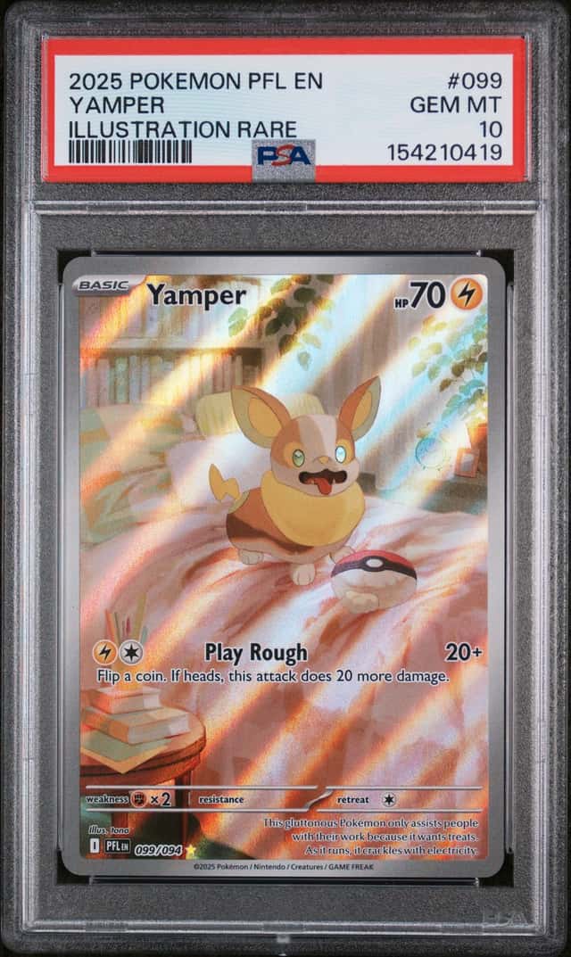 Yamper