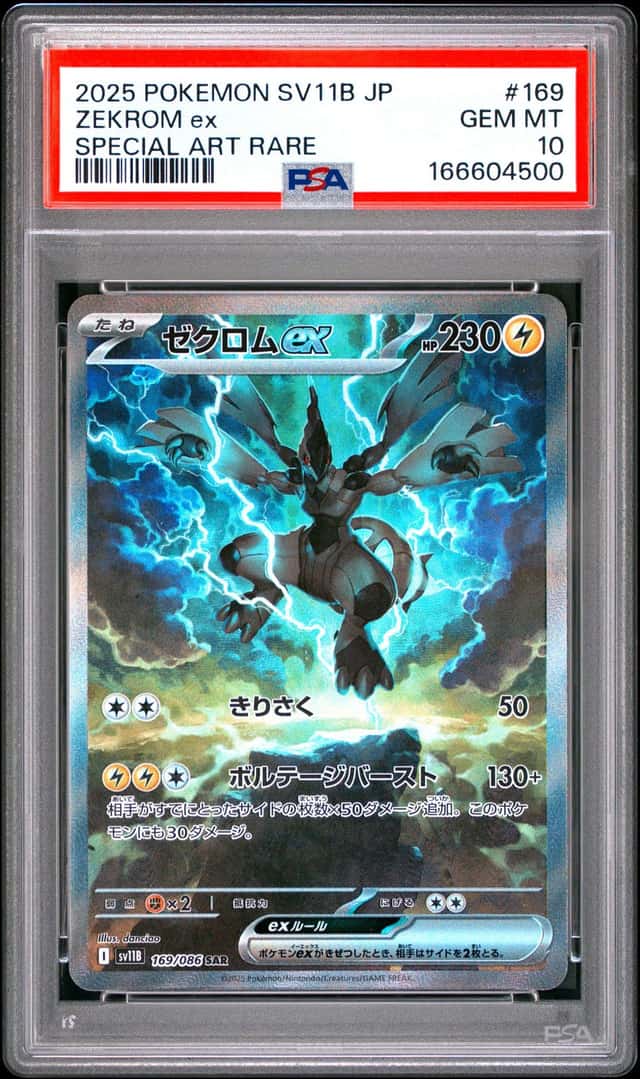 ZEKROM ex