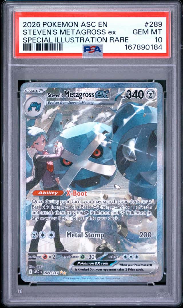 STEVEN'S METAGROSS ex