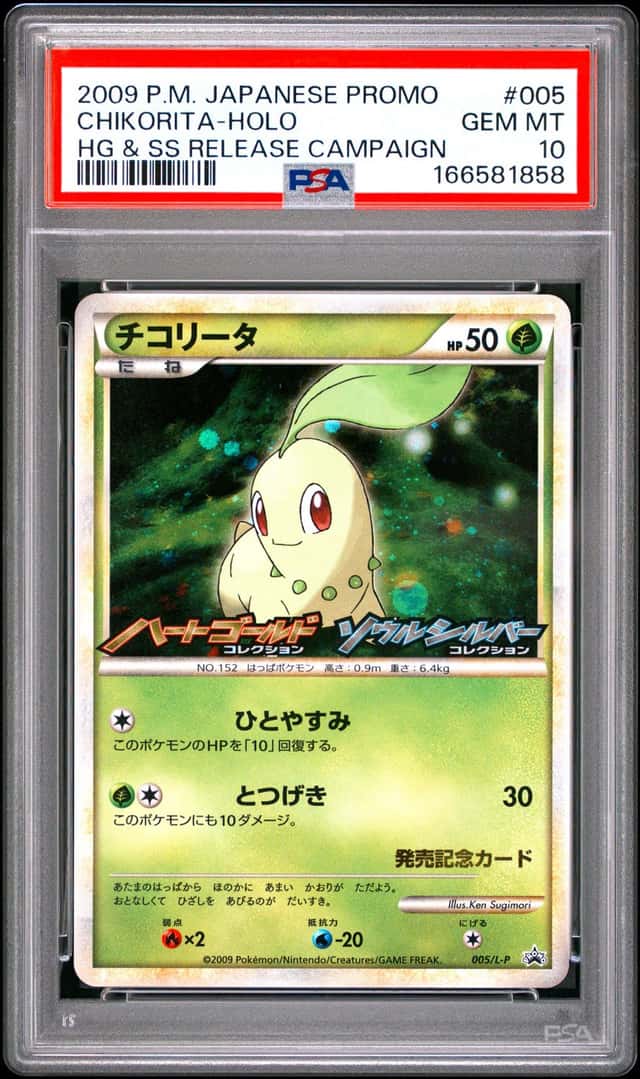 Chikorita