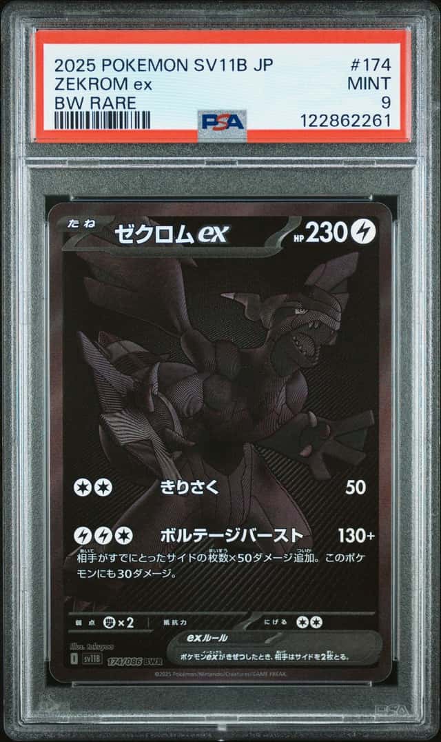 ZEKROM ex