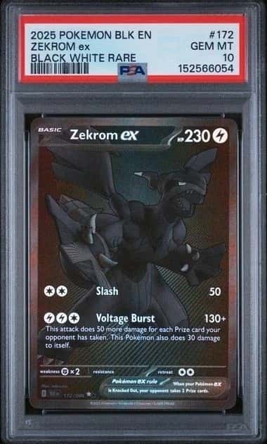 ZEKROM ex