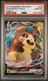 Morpeko Vmax