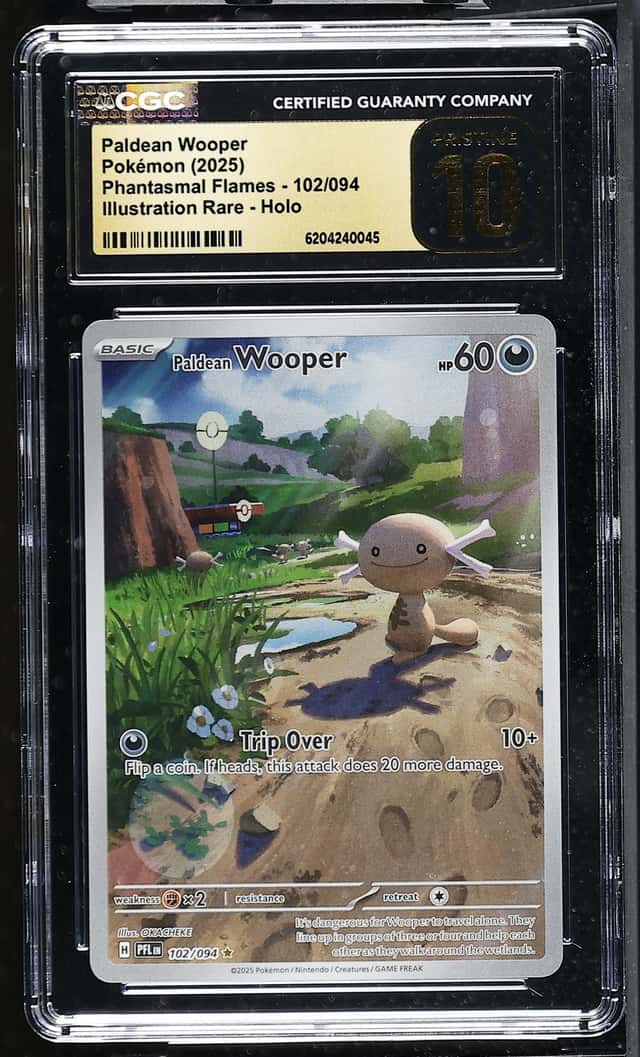 Paldean Wooper