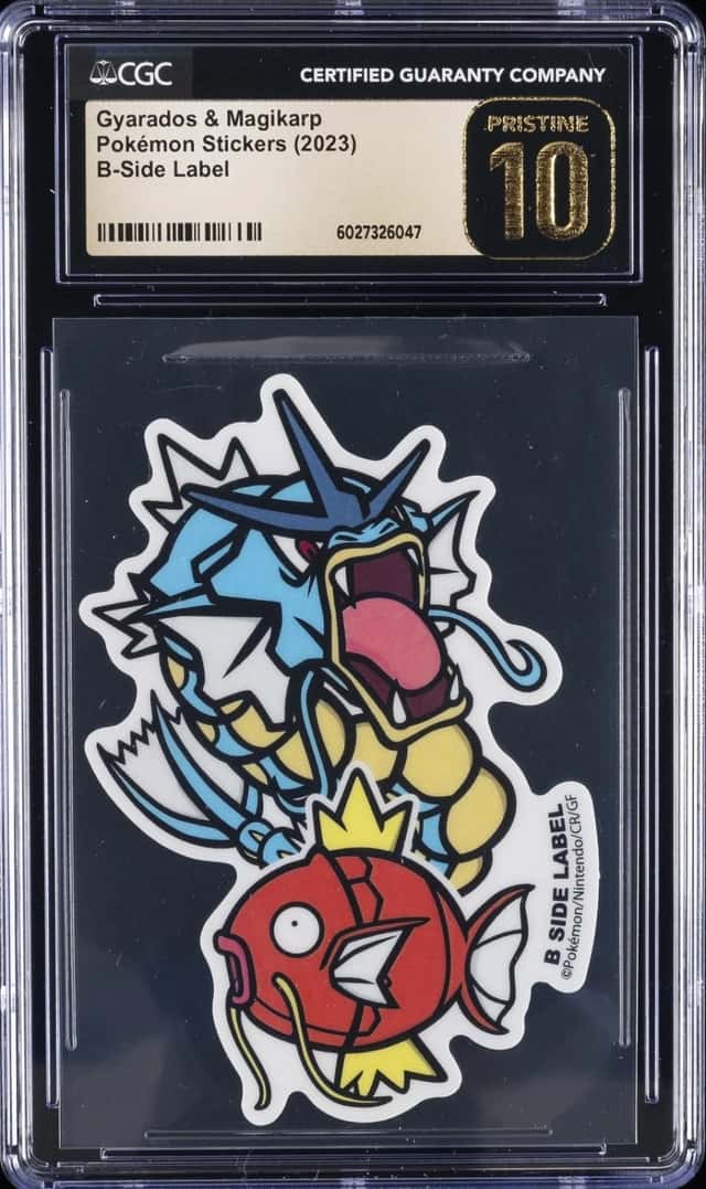 Gyarados & Magikarp