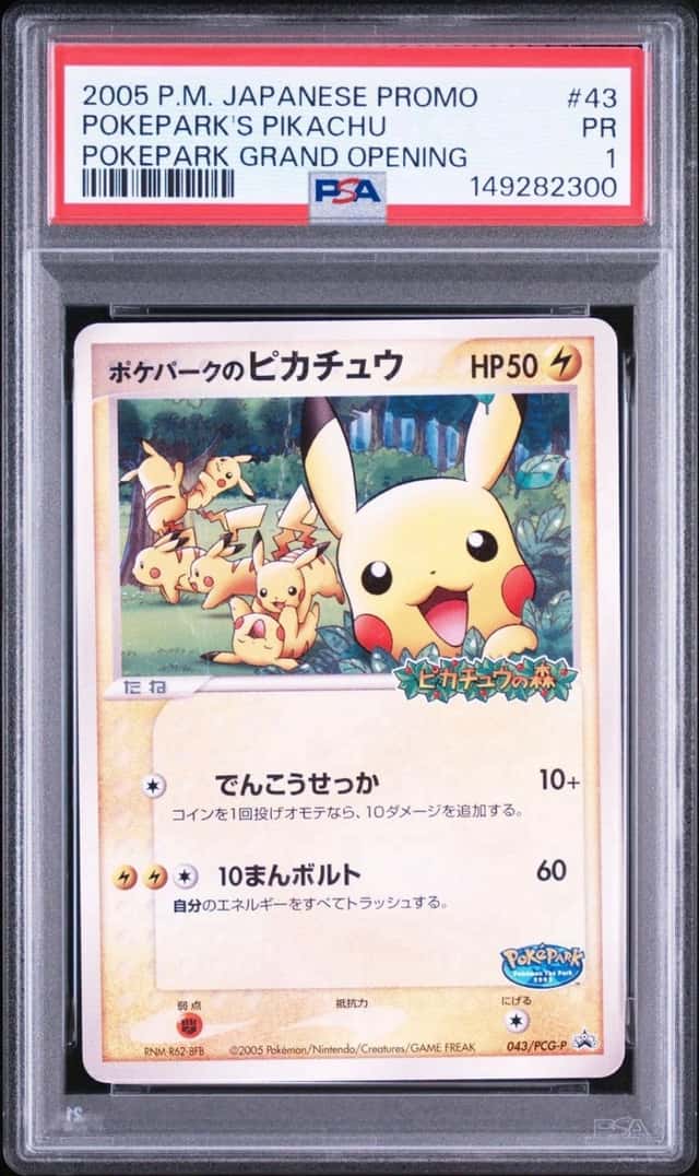 PokePark's Pikachu