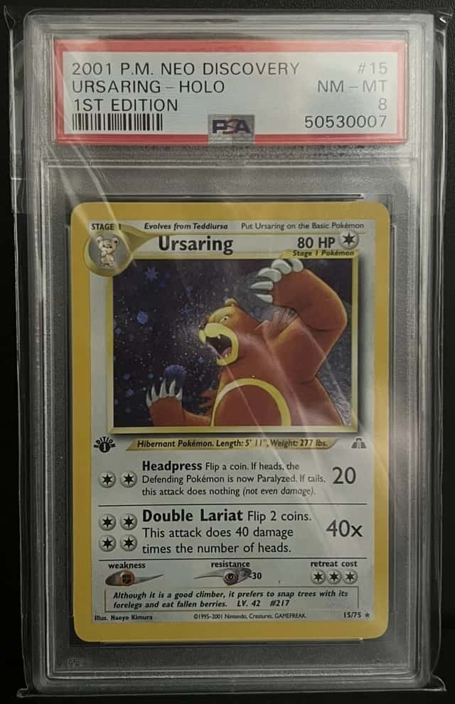 Ursaring