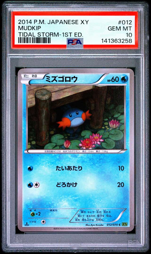 Mudkip