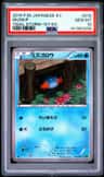 Mudkip