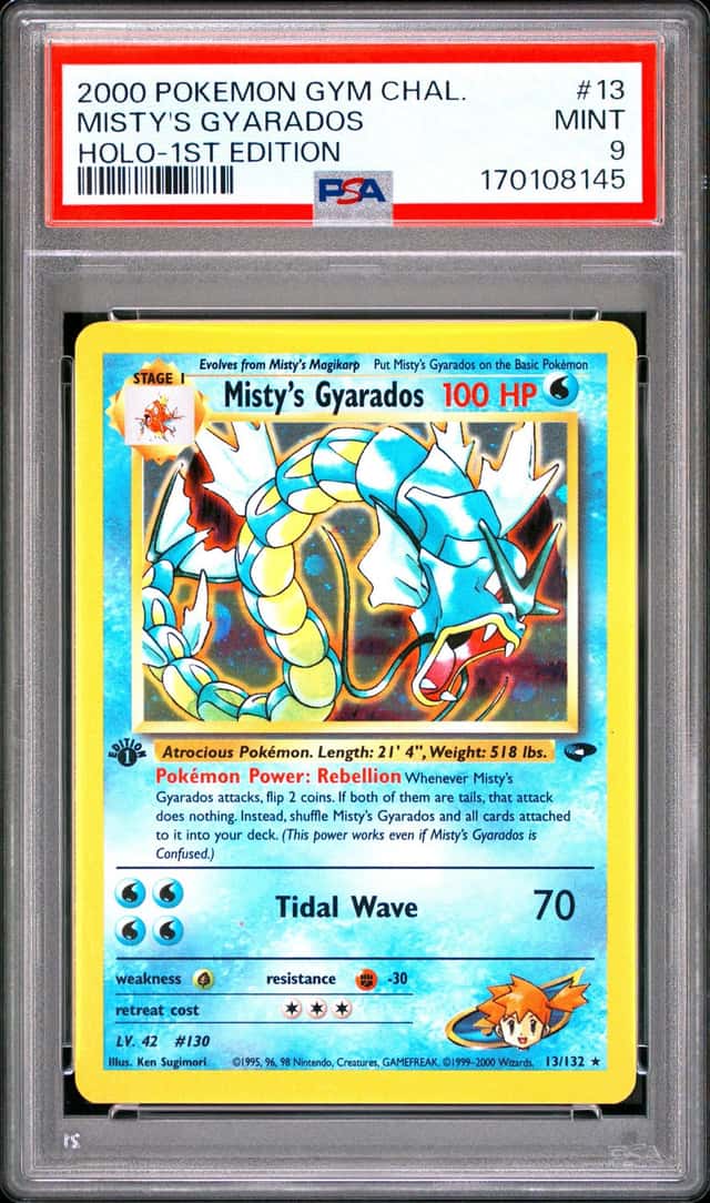 Misty's Gyarados