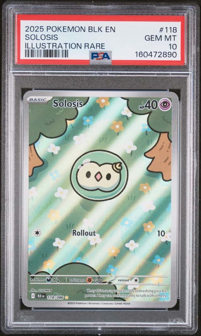 Solosis