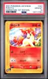 Ponyta