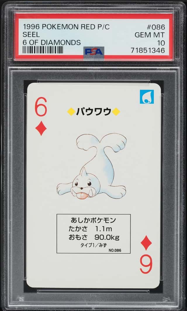 Seel