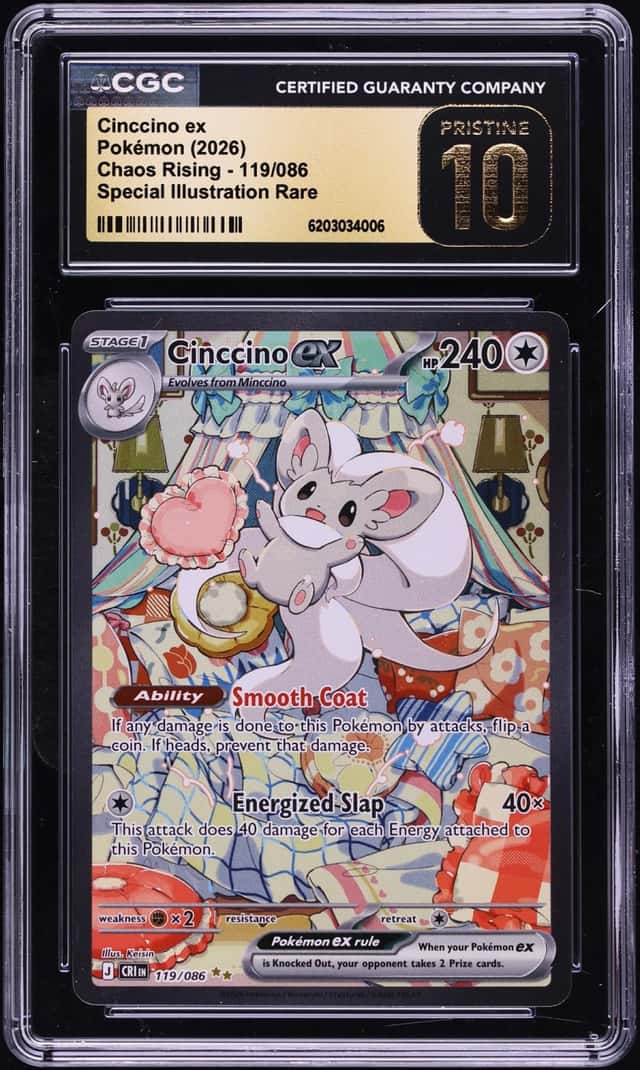 CINCCINO ex