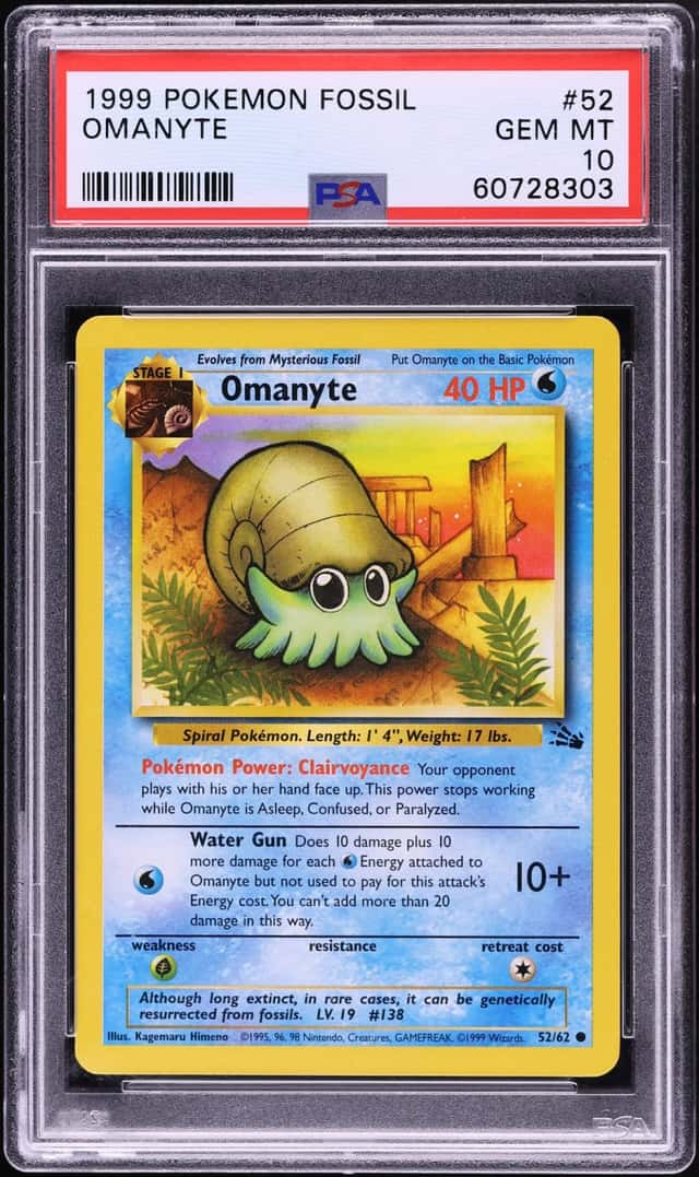 Omanyte