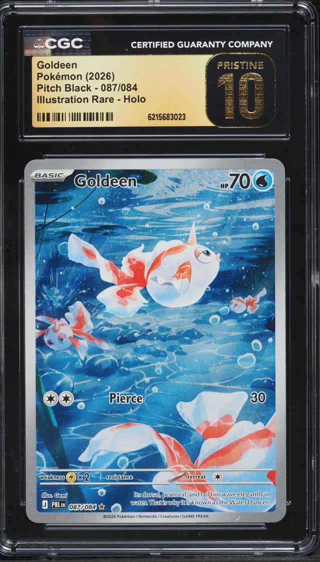 Goldeen