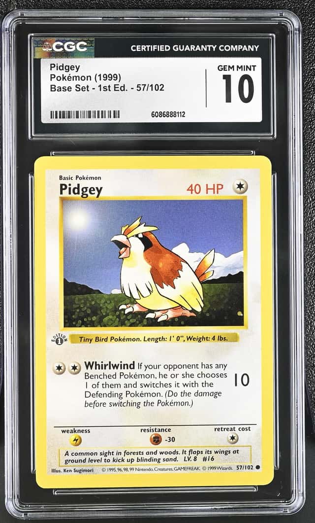 Pidgey