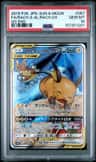 Raichu & Alolan Raichu Gx