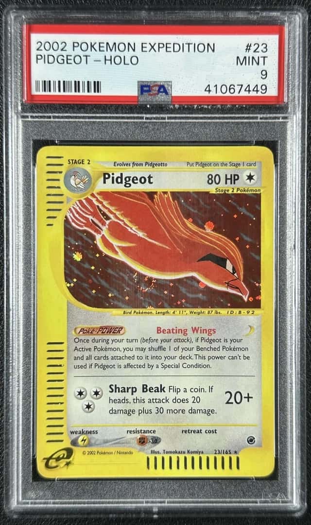 Pidgeot