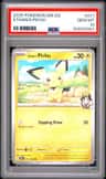 Ethan'S Pichu