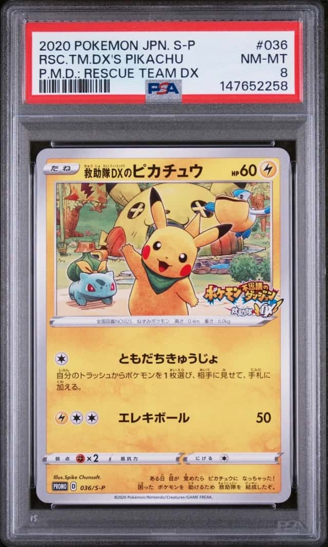 Rescue Team Dx's Pikachu
